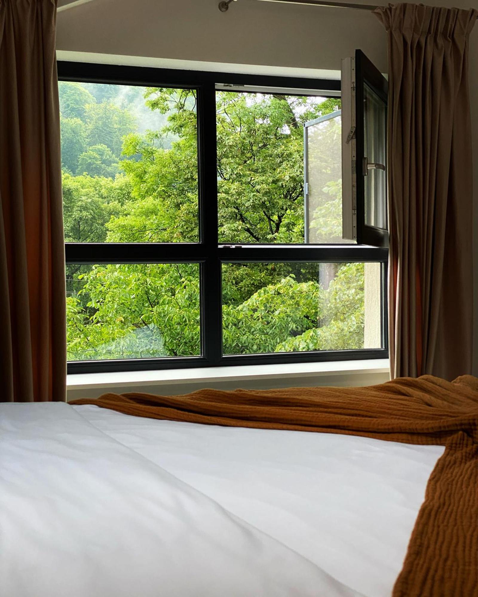 Queen'S Heart Guesthouse Bran  Eksteriør bilde
